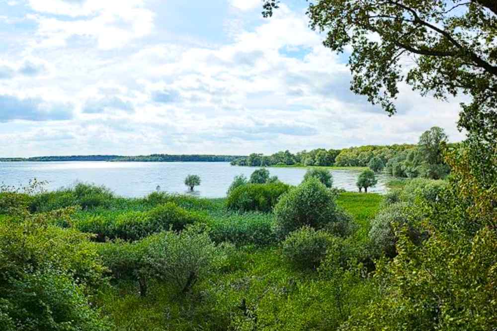 Parc naturel régional de la Forêt d'Orient